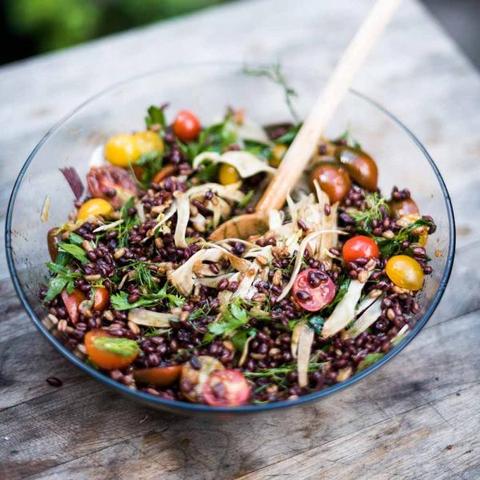 Organic Traditional Balsamic Vinegar